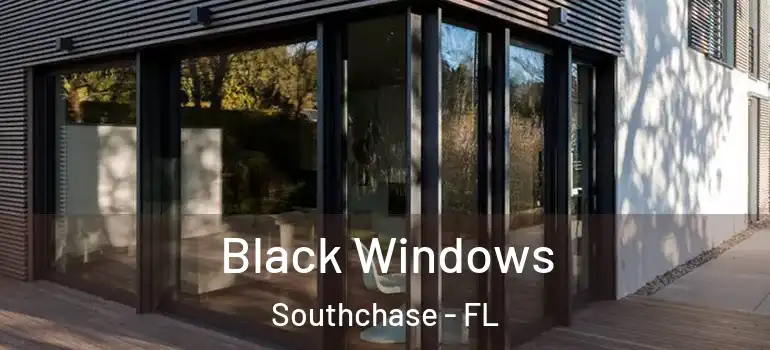 Black Windows Southchase - FL