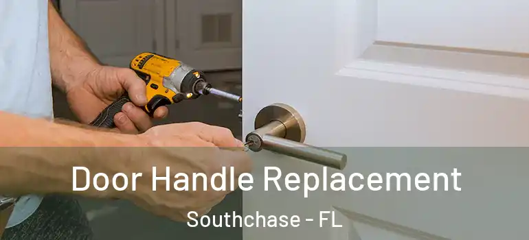Door Handle Replacement Southchase - FL