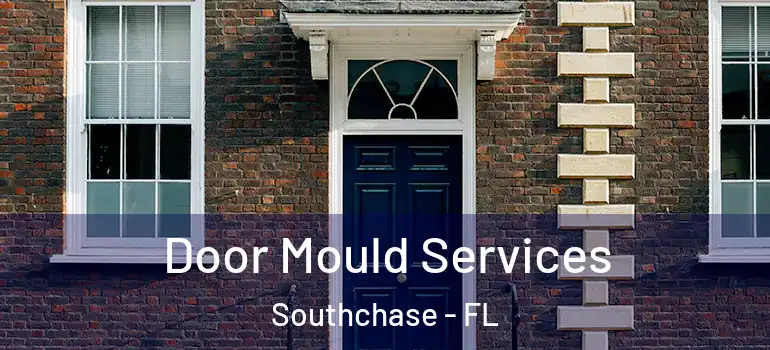 Door Mould Services Southchase - FL