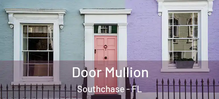 Door Mullion Southchase - FL