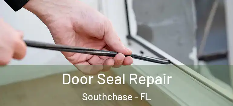 Door Seal Repair Southchase - FL
