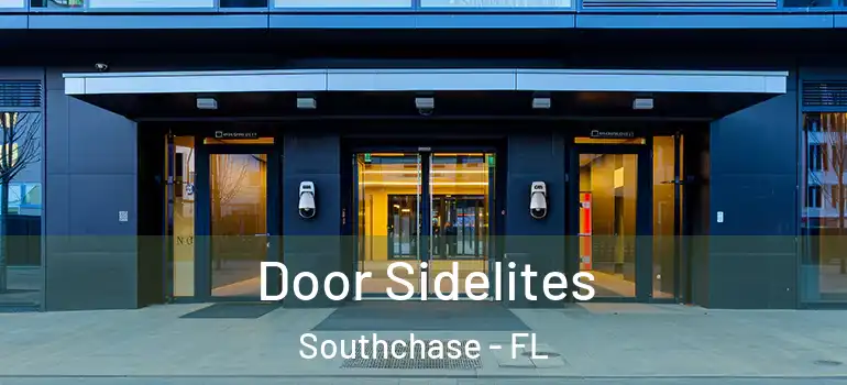 Door Sidelites Southchase - FL