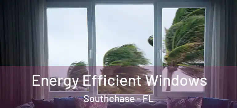 Energy Efficient Windows Southchase - FL