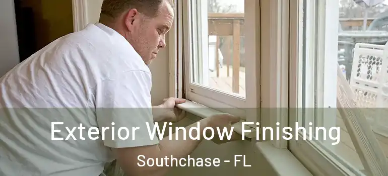 Exterior Window Finishing Southchase - FL