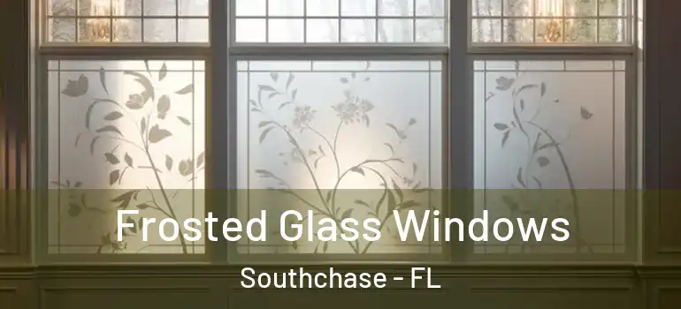 Frosted Glass Windows Southchase - FL