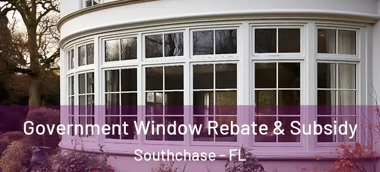 Government Window Rebate & Subsidy Southchase - FL