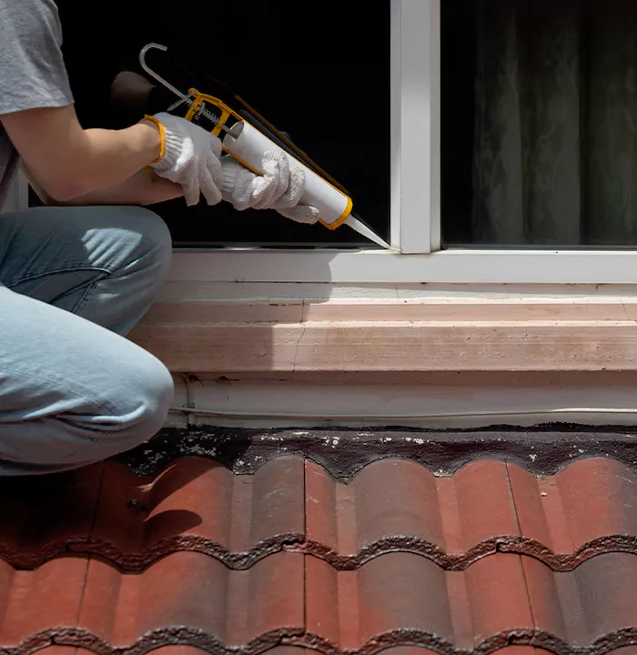 Roof Window Services in Southchase, Florida