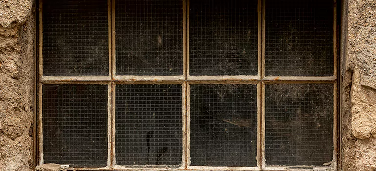 Traditional Double Front Doors in Southchase, FL