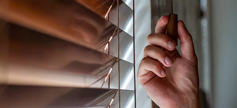 Double Roller Blinds in Southchase, FL