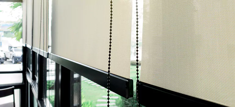 Blackout Window Shades in Southchase, FL