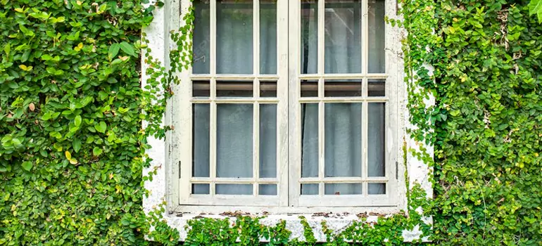 Garden Window Repair Near Me in Southchase, FL