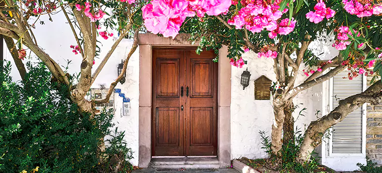 Traditional 4 Panel Internal Doors in Southchase, FL