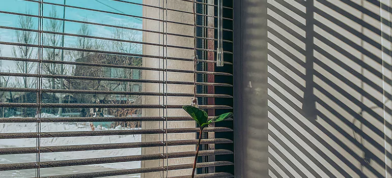 Commercial Window Blinds in Southchase, FL