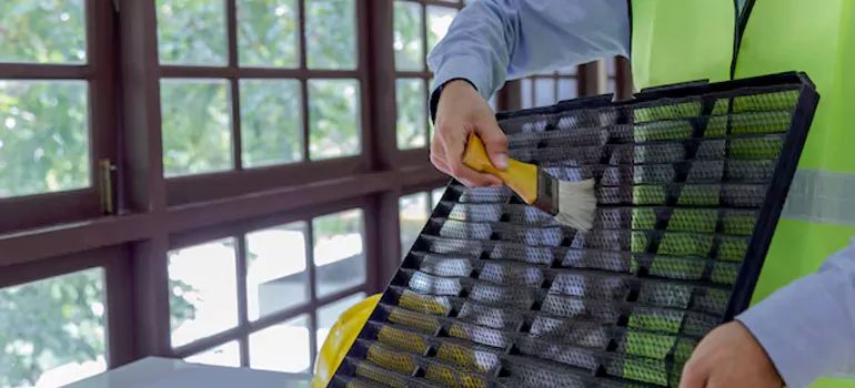 Traditional Window Grille Installation Options in Southchase, FL