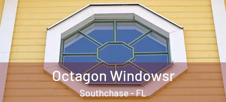 Octagon Windowsr Southchase - FL