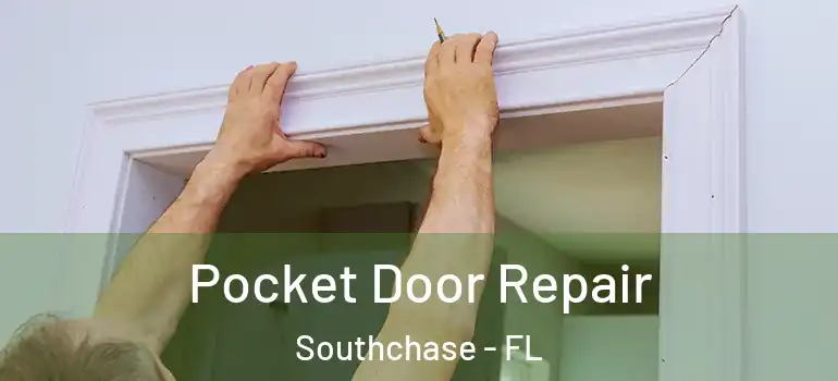 Pocket Door Repair Southchase - FL