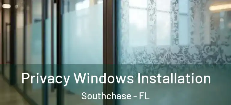 Privacy Windows Installation Southchase - FL