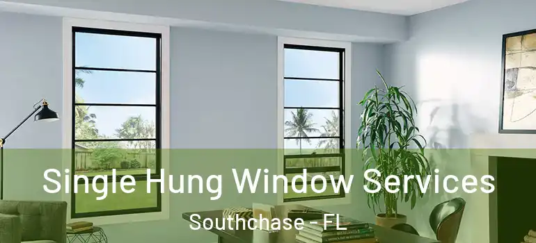 Single Hung Window Services Southchase - FL