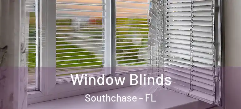 Window Blinds Southchase - FL