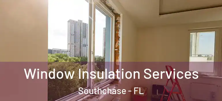 Window Insulation Services Southchase - FL
