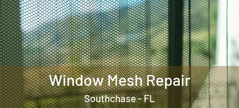Window Mesh Repair Southchase - FL