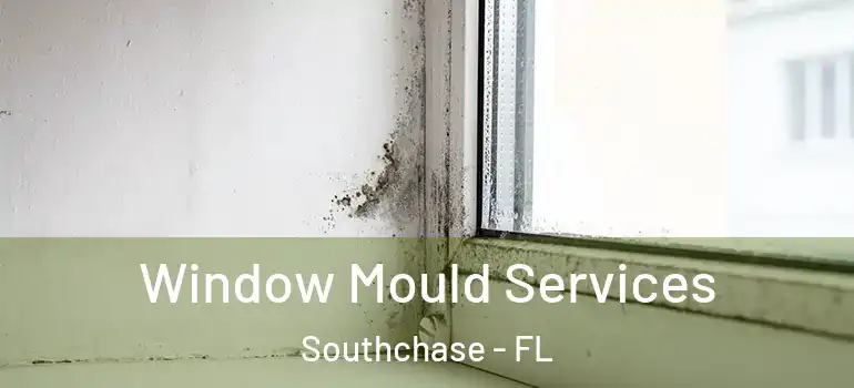 Window Mould Services Southchase - FL