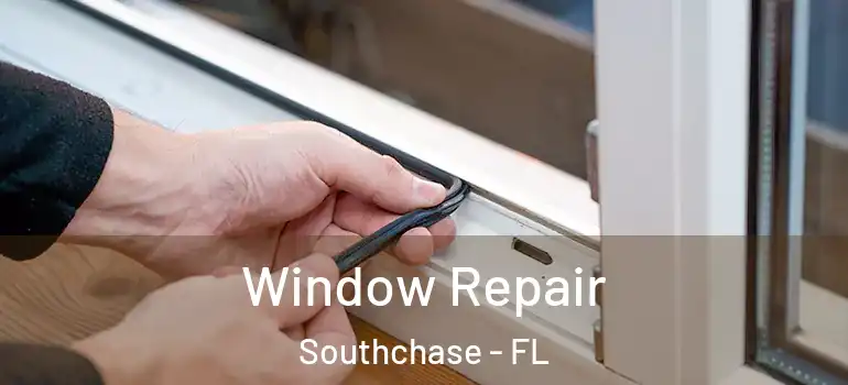 Window Repair Southchase - FL