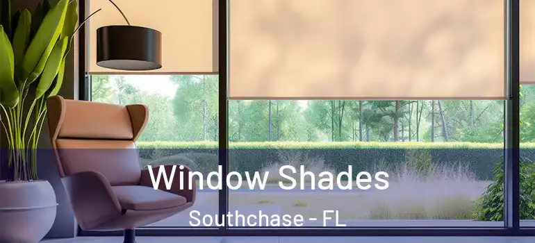 Window Shades Southchase - FL